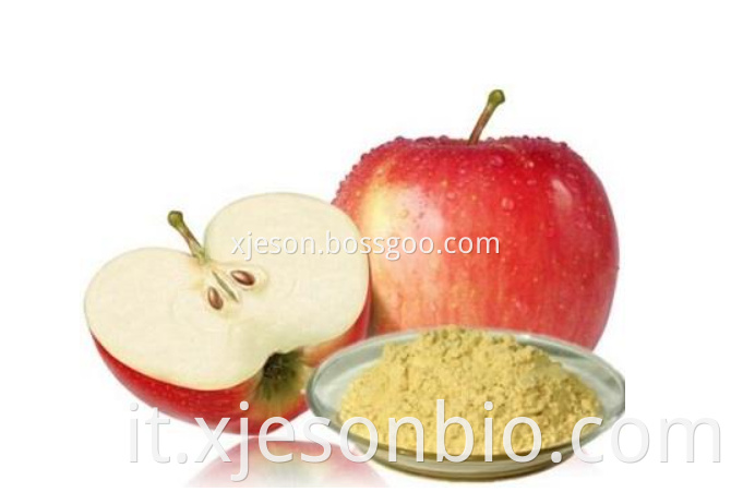 Apple Extract Benefits